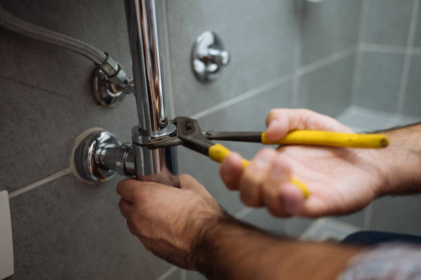 Best Local Plumber Services  in Biscoe, NC