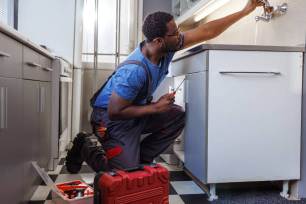 Best Plumbing Inspection Services  in Biscoe, NC